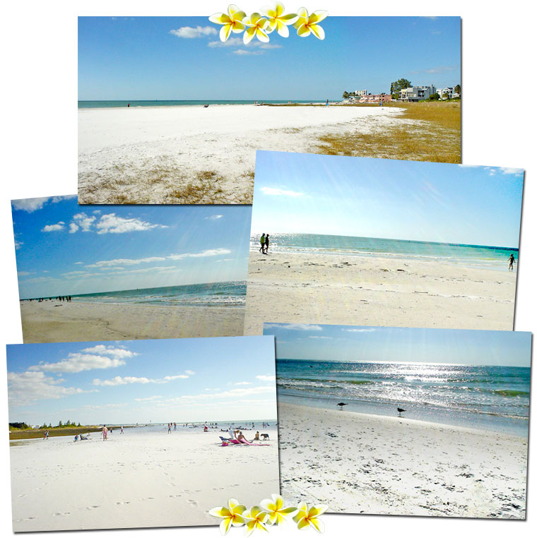 Siesta Key