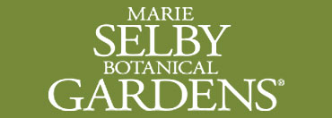 The Marie Selby Botanical Gardens